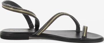 EVITA Sandals 'OLIMPIA' in Black