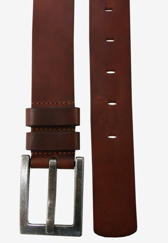 Petrol Industries Belt in Brown