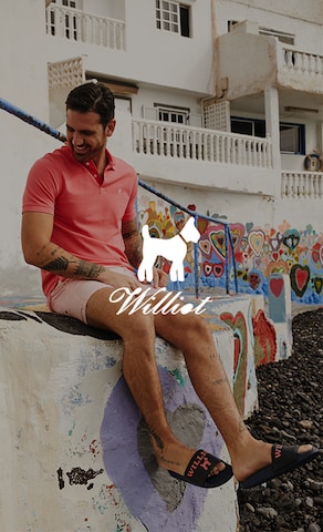 Category Teaser_BAS_2025_CW29_Williot_DualWill_Brand Material_Others_M_trends
