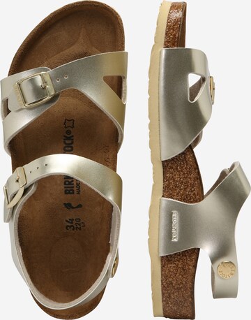 Sandales 'Rio' BIRKENSTOCK en or : sur le côté