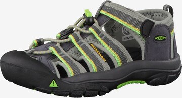 KEEN Sandale 'Newport H2' in Grau: predná strana