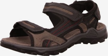ROHDE Hiking Sandals in Black: front
