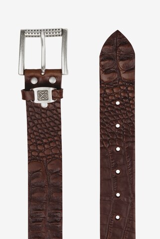 CAMP DAVID Belt in Brown