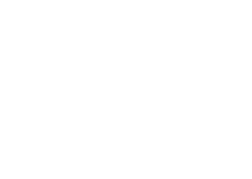 CAPRICE Logo