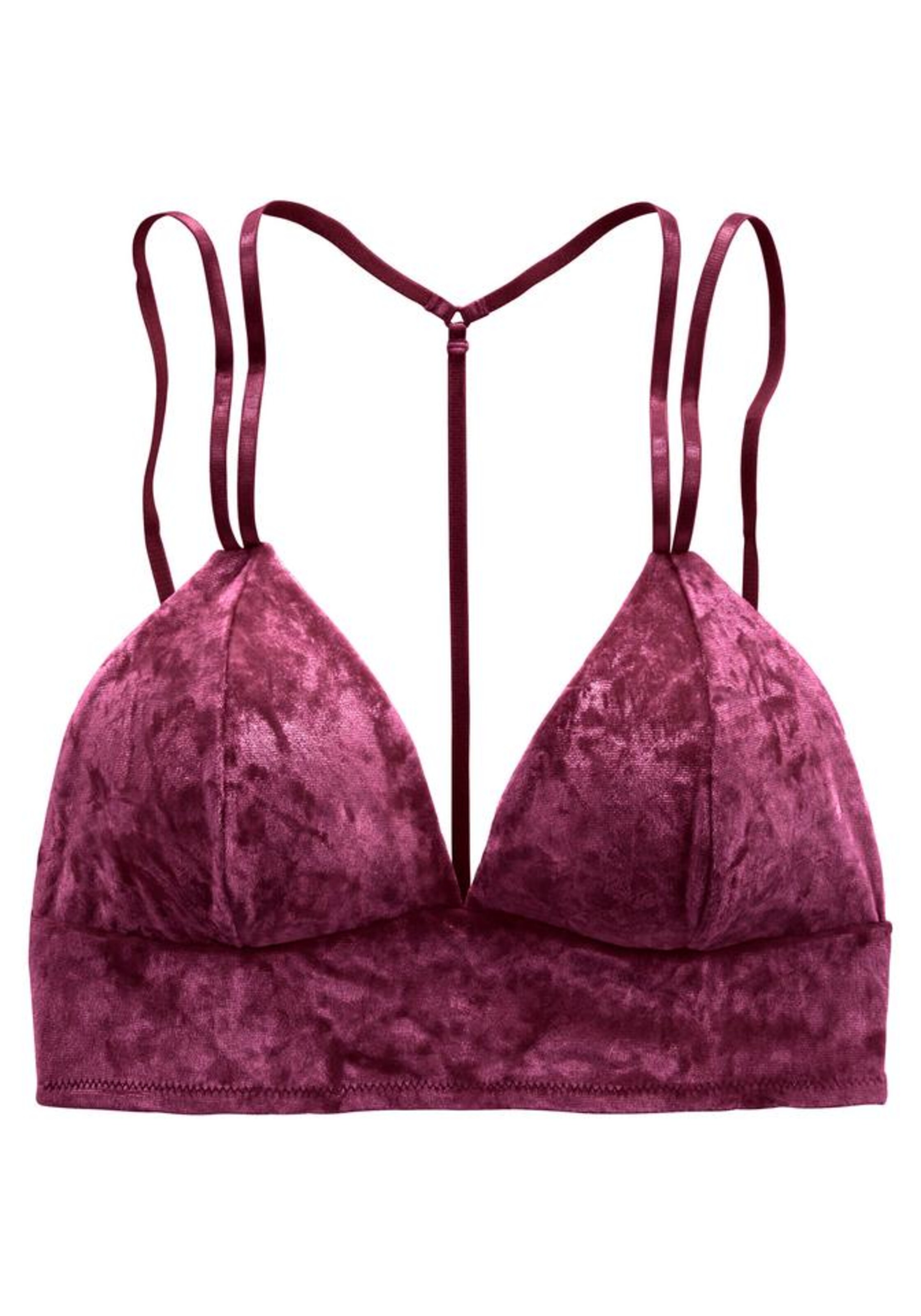 LASCANA - BH in aubergine