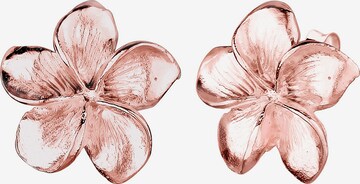 ELLI Earrings 'Frangipani Blüte' in Gold