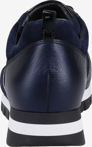 GABOR Sneakers laag in Blauw