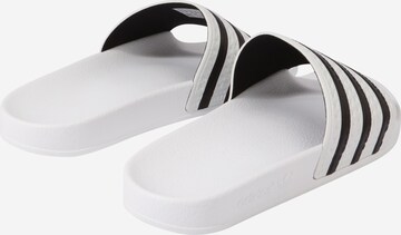 Zoccoletto di ADIDAS ORIGINALS in bianco: dietro