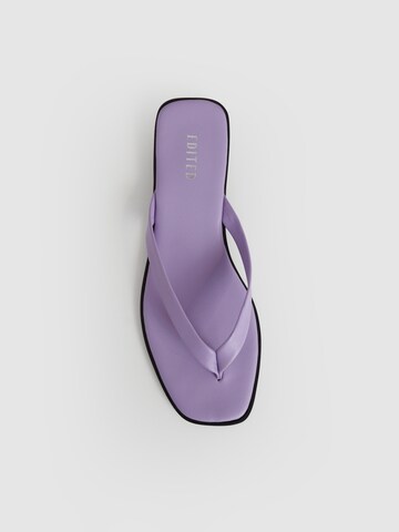 EDITED T-Bar Sandals 'Mayia' in Purple