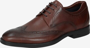 SIOUX Lace-Up Shoes 'Forkan-XL' in Brown: front