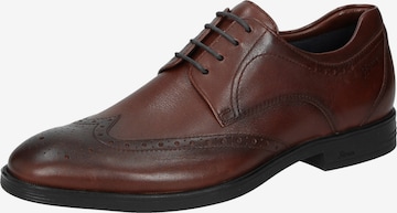 SIOUX Lace-Up Shoes 'Forkan-XL' in Brown: front