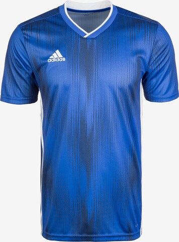 ADIDAS SPORTSWEAR Performance Shirt 'Tiro 19' in Blue: front
