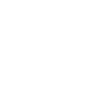 Wallis Logo