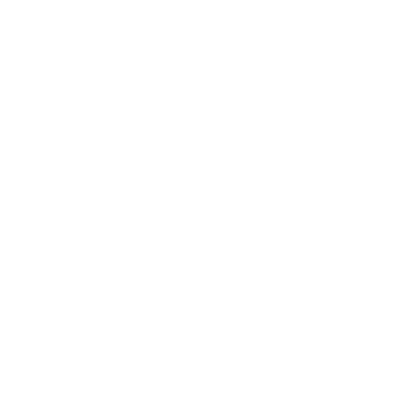 Vallsero Logo