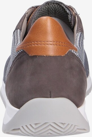 ARA Sneaker in Grau