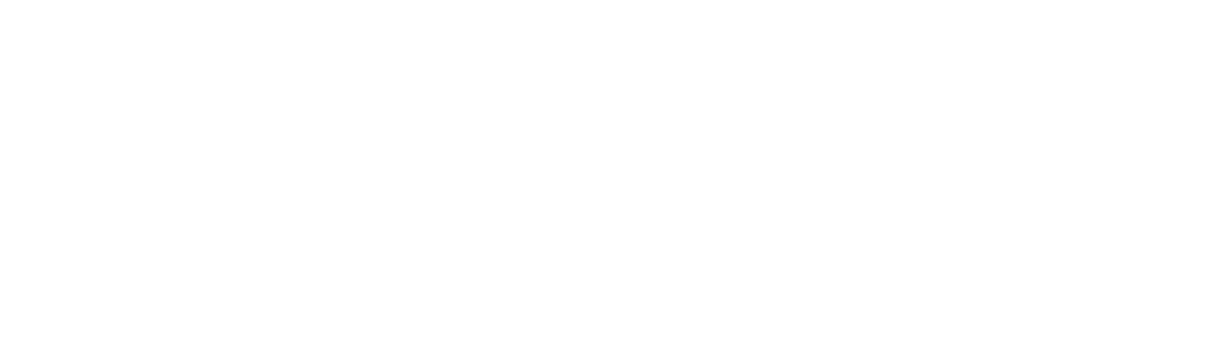 STAR NIGHT Logo