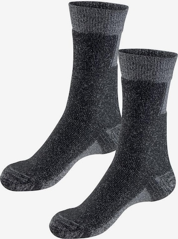 SYMPATICO Socks in Grey: front