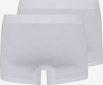 Hanro Pants 2-Pack ' Cotton Essentials ' in Weiß