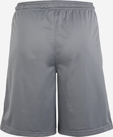 UNDER ARMOUR Regular Sportshorts in Grau: zadná strana