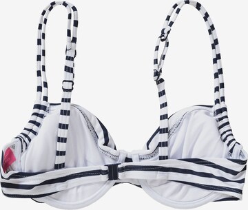 VENICE BEACH Push-up Bikinitop 'Summer' in Blau