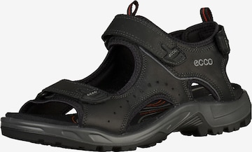 ECCO Trekingové sandály – černá: přední strana