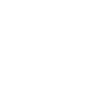 Viktoria Moser Logo