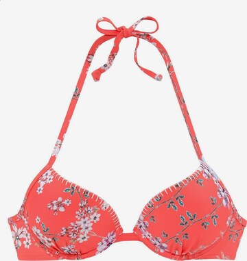 SUNSEEKER Push-up Bikini-Top 'Ditsy' in Rot: predná strana