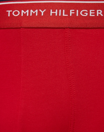 Tommy Hilfiger Underwear Štandardný strih Boxerky - Modrá