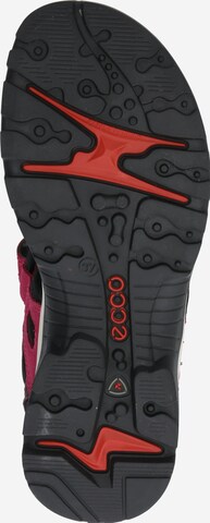 ECCO Trekkingsandale 'Offroad' in Pink