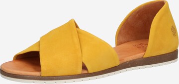 Apple of Eden Sandal 'SS20-CHIUSI' in Yellow: front