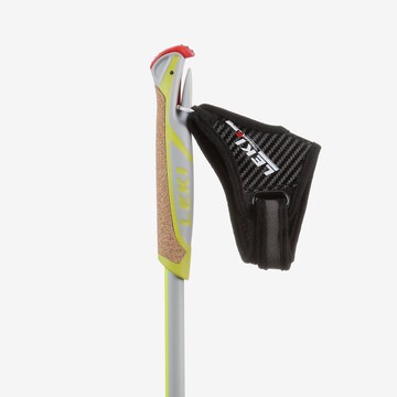 LEKI Stick 'Smart Carbon' in Grey