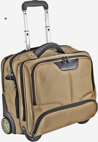 Dermata Trolley in Beige: voorkant