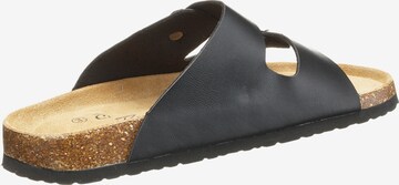 Cruz Mules in Black