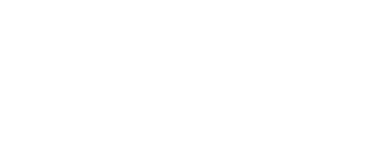 MAXIMO Logo