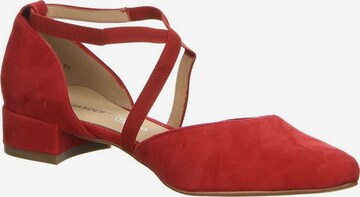 SALAMANDER Pumps in Red