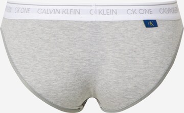 Calvin Klein Underwear Normální Kalhotky – šedá