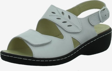 Longo Sandals in Grey: front