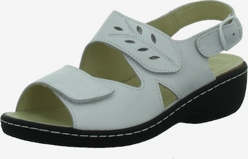 Longo Sandale in Grey: front