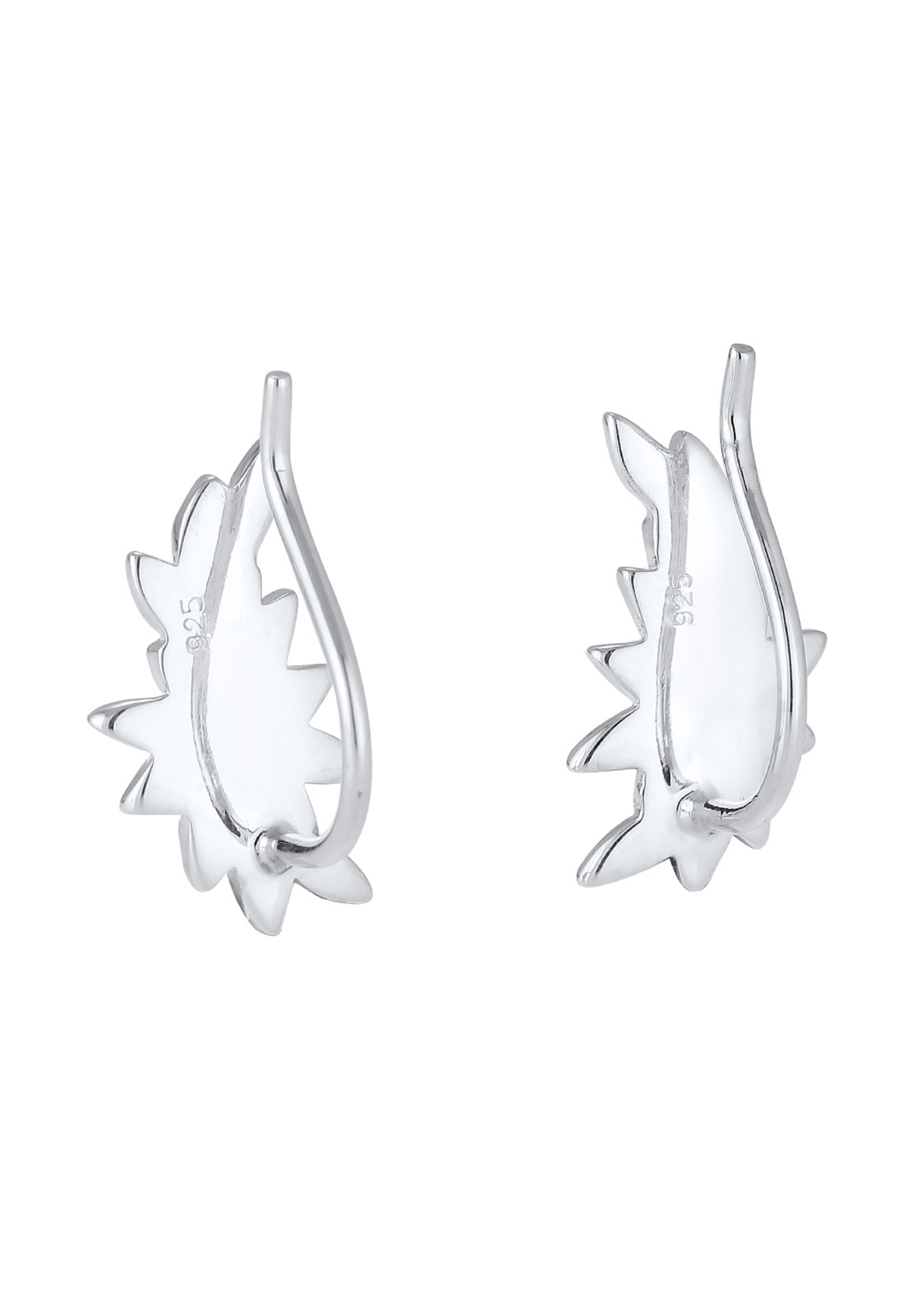 ELLI PREMIUM Oorbellen in Zilver