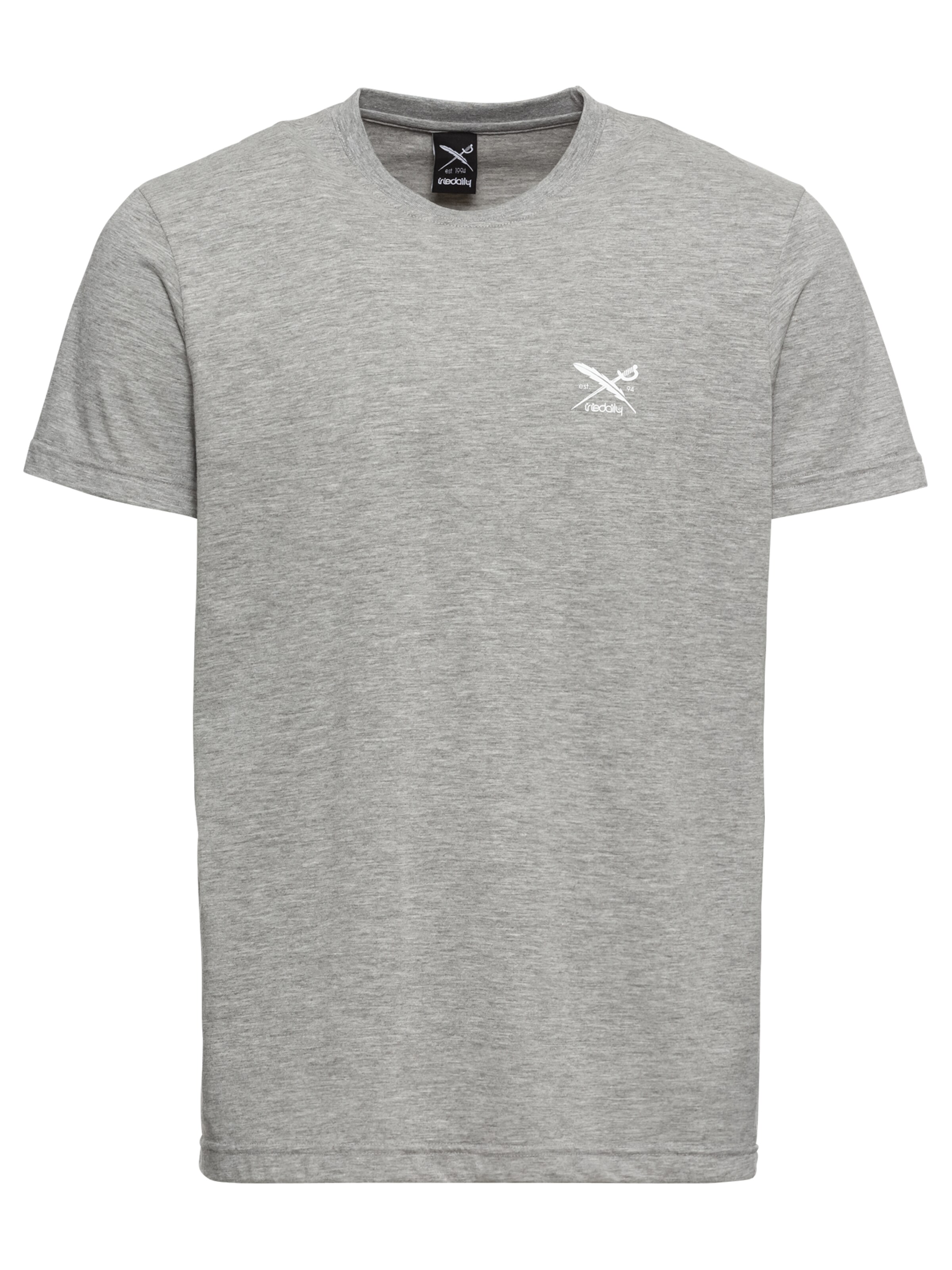 T-Shirt Iriedaily en gris : devant