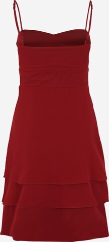 VM Vera Mont Kleid in Rot