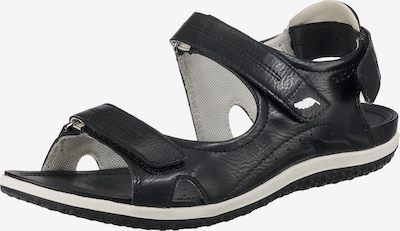 GEOX Sandal 'Vega' i svart, Produktvy