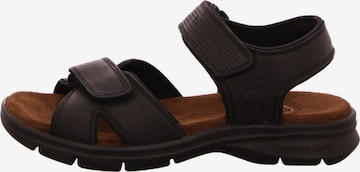 PANAMA JACK Sandals in Black: front