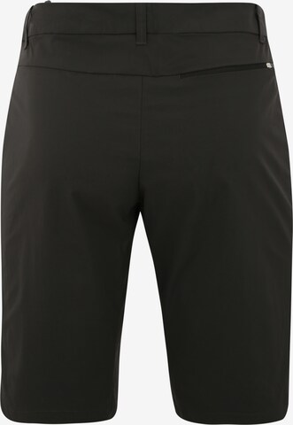MAMMUT Regular Outdoor Pants in Black: back