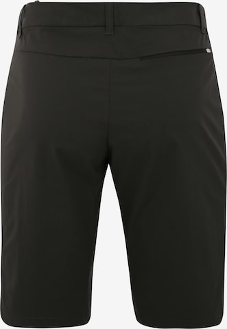 MAMMUT Regular Shorts in Schwarz: zadná strana