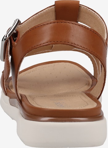 GEOX Sandals in Brown