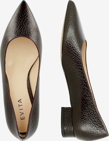 EVITA Pumps 'FRANCA' in Braun