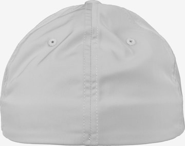 Flexfit Cap in Silber