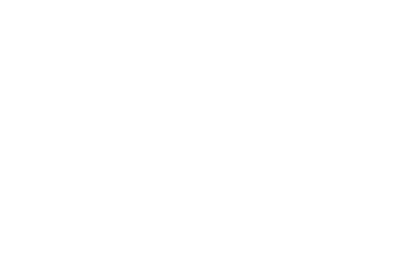 PEAK PERFORMANCE Logo