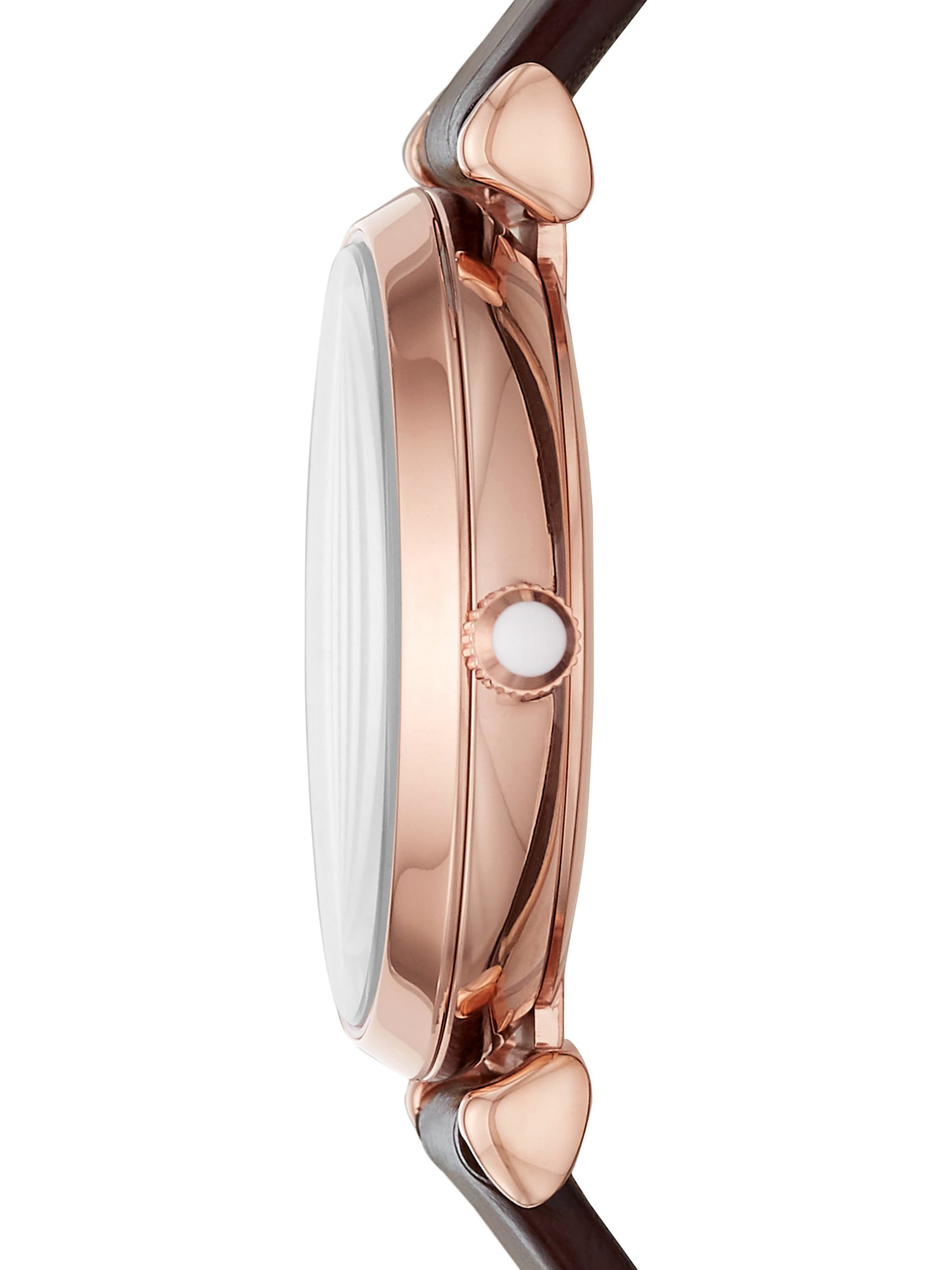 Emporio Armani Analog Watch in Brown